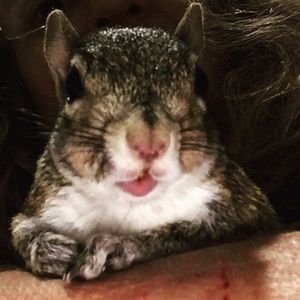 Meet your Posher, Michelle